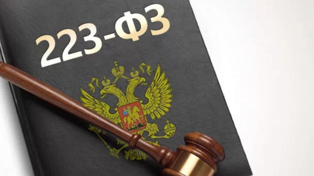 Федеральный закон «О закупках товаров, работ, услуг отдельными видами юридических лиц» 223-ФЗ от 18 июля 2011г.  (с изменениями на 4 августа 2023 года)